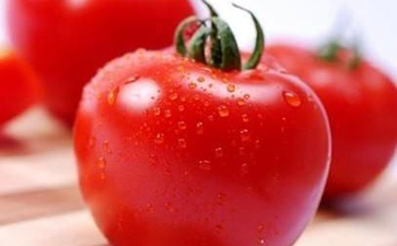 张家界白癜风患者可以吃西红柿吗？